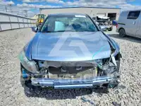 2012 Honda Accord photo