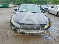2012 Honda Accord фото