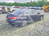 2012 Honda Accord фото