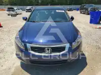 2012 Honda Accord photo