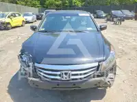 2012 Honda Accord photo