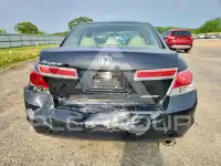 2012 Honda Accord photo