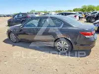 2012 Honda Accord фото