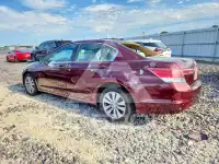 2012 Honda Accord photo