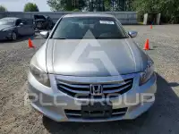 2012 Honda Accord photo