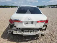 2012 Honda Accord photo