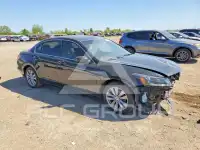 2012 Honda Accord фото