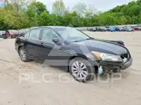 2012 Honda Accord photo