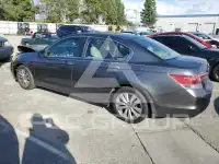 2012 Honda Accord photo