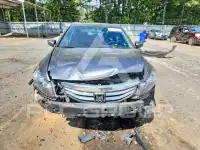 2012 Honda Accord photo