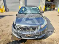 2012 Honda Accord photo