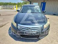 2012 Honda Accord photo