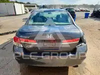 2012 Honda Accord photo