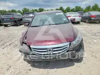2012 Honda Accord фото