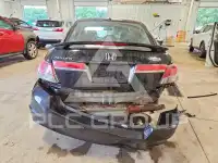 2012 Honda Accord photo