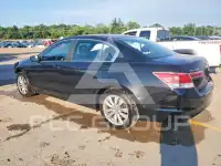 2012 Honda Accord photo