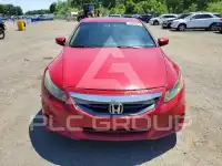 2012 Honda Accord photo