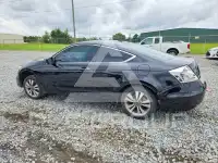 2012 Honda Accord photo