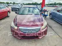 2012 Honda Accord photo