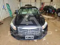 2012 Honda Accord photo