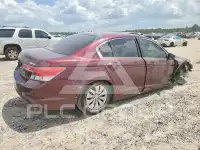 2012 Honda Accord фото