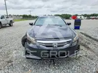 2012 Honda Accord photo