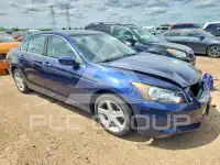2012 Honda Accord photo