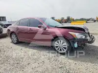 2012 Honda Accord фото