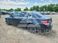 2012 Honda Accord photo