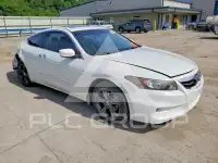 2012 Honda Accord фото