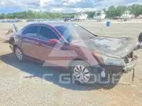 2012 Honda Accord photo