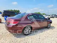 2012 Honda Accord фото