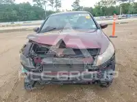 2012 Honda Accord photo