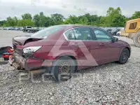 2012 Honda Accord photo