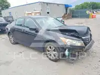 2012 Honda Accord photo