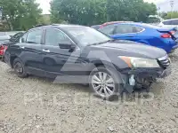2012 Honda Accord photo