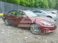 2012 Honda Accord фото