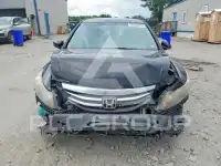 2012 Honda Accord photo