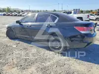 2012 Honda Accord photo