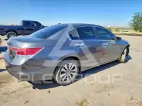 2012 Honda Accord photo