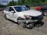 2012 Honda Accord фото