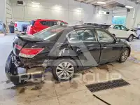2012 Honda Accord photo
