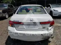 2012 Honda Accord фото