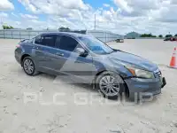 2012 Honda Accord photo