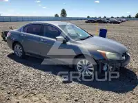 2012 Honda Accord photo