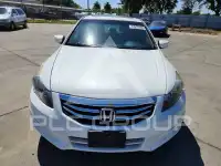 2012 Honda Accord photo