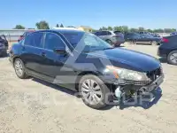2012 Honda Accord фото