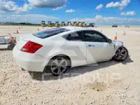 2012 Honda Accord photo