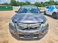 2012 Honda Accord фото