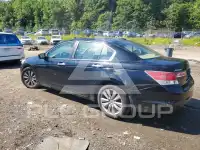 2012 Honda Accord фото